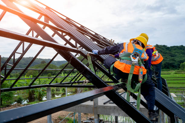 Best Metal Roofing Contractor  in Gretna, NE